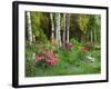 Scenic of Forest and Garden, Canada-Ellen Anon-Framed Photographic Print