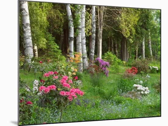 Scenic of Forest and Garden, Canada-Ellen Anon-Mounted Photographic Print