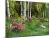 Scenic of Forest and Garden, Canada-Ellen Anon-Mounted Photographic Print