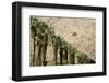 Scenic of Palm Trees, Palm Springs, California, USA-Julien McRoberts-Framed Photographic Print