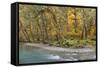 Scenic of Quinault River in the Olympic National Park, Washington, USA-Jaynes Gallery-Framed Stretched Canvas