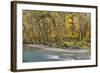 Scenic of Quinault River in the Olympic National Park, Washington, USA-Jaynes Gallery-Framed Photographic Print