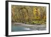 Scenic of Quinault River in the Olympic National Park, Washington, USA-Jaynes Gallery-Framed Photographic Print