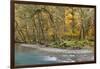 Scenic of Quinault River in the Olympic National Park, Washington, USA-Jaynes Gallery-Framed Photographic Print