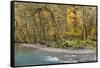 Scenic of Quinault River in the Olympic National Park, Washington, USA-Jaynes Gallery-Framed Stretched Canvas