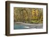 Scenic of Quinault River in the Olympic National Park, Washington, USA-Jaynes Gallery-Framed Photographic Print