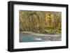 Scenic of Quinault River in the Olympic National Park, Washington, USA-Jaynes Gallery-Framed Photographic Print