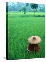 Scenic of Rice Fields and Farmer on Yangtze River, China-Bill Bachmann-Stretched Canvas