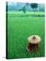 Scenic of Rice Fields and Farmer on Yangtze River, China-Bill Bachmann-Stretched Canvas