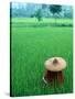 Scenic of Rice Fields and Farmer on Yangtze River, China-Bill Bachmann-Stretched Canvas