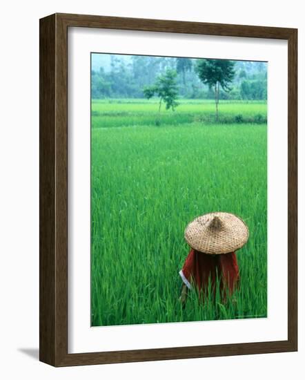 Scenic of Rice Fields and Farmer on Yangtze River, China-Bill Bachmann-Framed Photographic Print