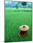 Scenic of Rice Fields and Farmer on Yangtze River, China-Bill Bachmann-Mounted Photographic Print
