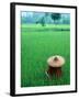 Scenic of Rice Fields and Farmer on Yangtze River, China-Bill Bachmann-Framed Photographic Print