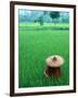 Scenic of Rice Fields and Farmer on Yangtze River, China-Bill Bachmann-Framed Photographic Print