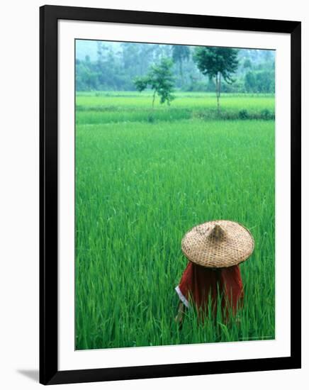 Scenic of Rice Fields and Farmer on Yangtze River, China-Bill Bachmann-Framed Photographic Print