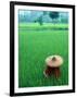 Scenic of Rice Fields and Farmer on Yangtze River, China-Bill Bachmann-Framed Photographic Print