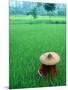 Scenic of Rice Fields and Farmer on Yangtze River, China-Bill Bachmann-Mounted Photographic Print