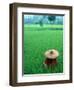 Scenic of Rice Fields and Farmer on Yangtze River, China-Bill Bachmann-Framed Photographic Print