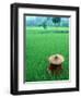 Scenic of Rice Fields and Farmer on Yangtze River, China-Bill Bachmann-Framed Photographic Print