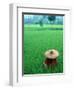 Scenic of Rice Fields and Farmer on Yangtze River, China-Bill Bachmann-Framed Photographic Print