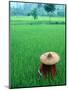 Scenic of Rice Fields and Farmer on Yangtze River, China-Bill Bachmann-Mounted Photographic Print