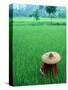 Scenic of Rice Fields and Farmer on Yangtze River, China-Bill Bachmann-Stretched Canvas