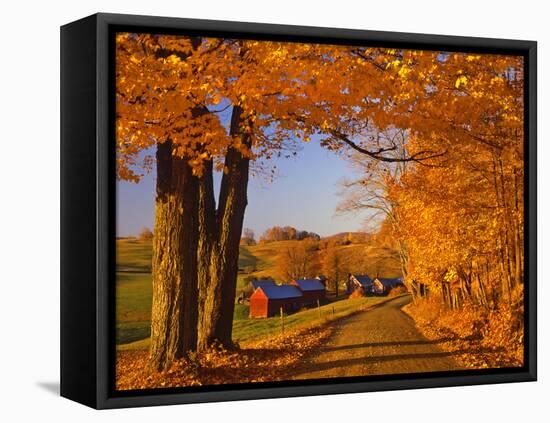 Scenic of Road and Jenne Farm, South Woodstock, Vermont, USA-Jaynes Gallery-Framed Stretched Canvas