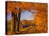 Scenic of Road and Jenne Farm, South Woodstock, Vermont, USA-Jaynes Gallery-Stretched Canvas