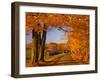 Scenic of Road and Jenne Farm, South Woodstock, Vermont, USA-Jaynes Gallery-Framed Photographic Print