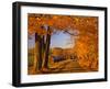 Scenic of Road and Jenne Farm, South Woodstock, Vermont, USA-Jaynes Gallery-Framed Photographic Print