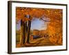 Scenic of Road and Jenne Farm, South Woodstock, Vermont, USA-Jaynes Gallery-Framed Photographic Print