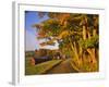 Scenic of Road and Jenne Farm, South Woodstock, Vermont, USA-Jaynes Gallery-Framed Photographic Print