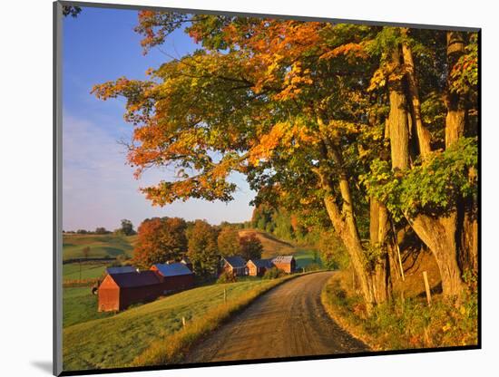 Scenic of Road and Jenne Farm, South Woodstock, Vermont, USA-Jaynes Gallery-Mounted Photographic Print