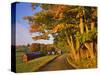 Scenic of Road and Jenne Farm, South Woodstock, Vermont, USA-Jaynes Gallery-Stretched Canvas