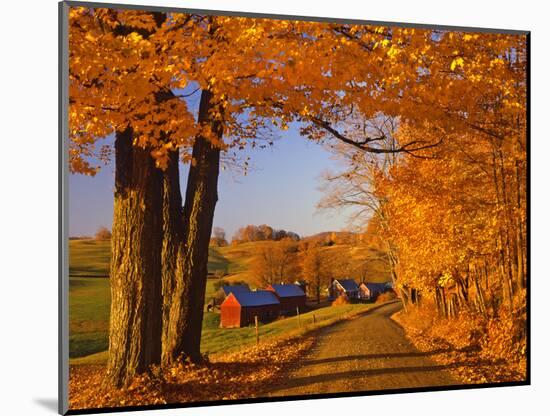 Scenic of Road and Jenne Farm, South Woodstock, Vermont, USA-Jaynes Gallery-Mounted Photographic Print