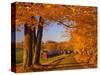 Scenic of Road and Jenne Farm, South Woodstock, Vermont, USA-Jaynes Gallery-Stretched Canvas