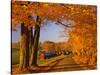 Scenic of Road and Jenne Farm, South Woodstock, Vermont, USA-Jaynes Gallery-Stretched Canvas