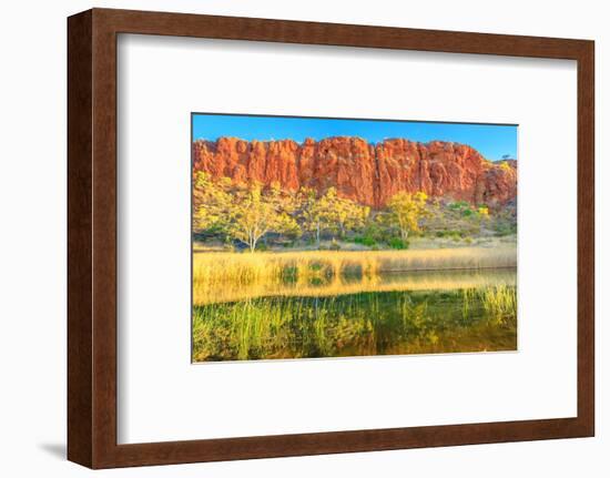 Scenic red sandstone wall and bush vegetation, Glen Helen Gorge, Australia-Alberto Mazza-Framed Photographic Print