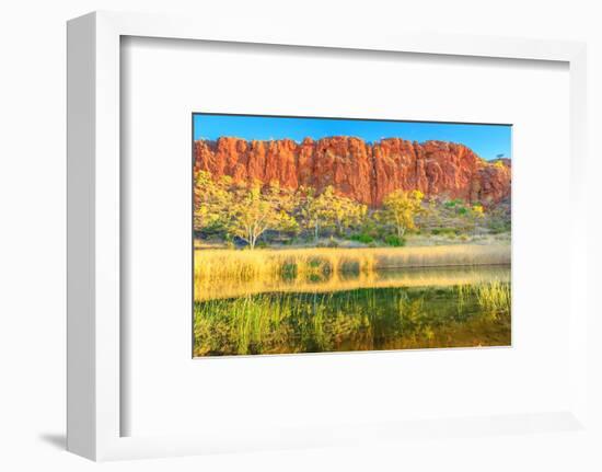 Scenic red sandstone wall and bush vegetation, Glen Helen Gorge, Australia-Alberto Mazza-Framed Photographic Print