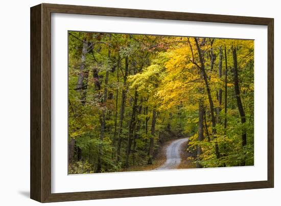 Scenic Road Through Autumn Forest Indiana, USA-Chuck Haney-Framed Photographic Print