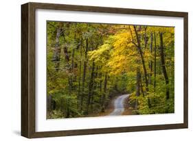 Scenic Road Through Autumn Forest Indiana, USA-Chuck Haney-Framed Photographic Print