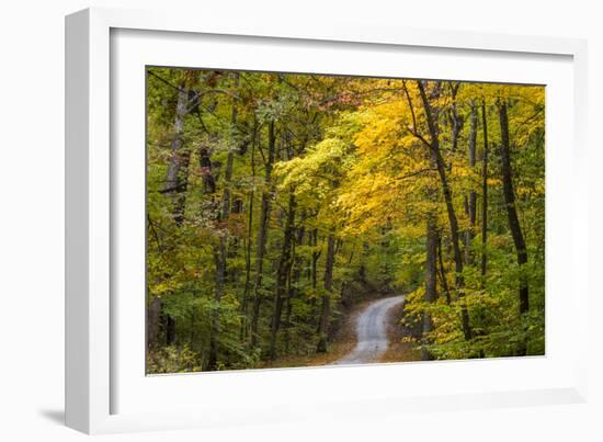 Scenic Road Through Autumn Forest Indiana, USA-Chuck Haney-Framed Photographic Print