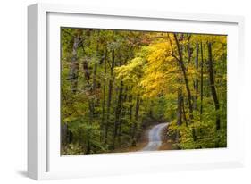 Scenic Road Through Autumn Forest Indiana, USA-Chuck Haney-Framed Photographic Print