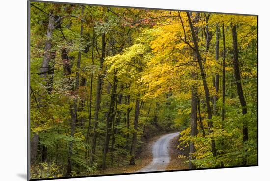 Scenic Road Through Autumn Forest Indiana, USA-Chuck Haney-Mounted Photographic Print