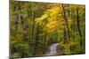 Scenic Road Through Autumn Forest Indiana, USA-Chuck Haney-Mounted Photographic Print