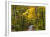 Scenic Road Through Autumn Forest Indiana, USA-Chuck Haney-Framed Photographic Print