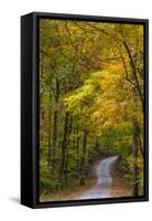 Scenic Road Through Autumn Forest Indiana, USA-Chuck Haney-Framed Stretched Canvas