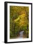 Scenic Road Through Autumn Forest Indiana, USA-Chuck Haney-Framed Premium Photographic Print