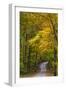 Scenic Road Through Autumn Forest Indiana, USA-Chuck Haney-Framed Premium Photographic Print