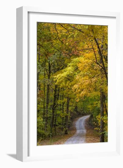 Scenic Road Through Autumn Forest Indiana, USA-Chuck Haney-Framed Photographic Print